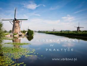 Niderlandzki: szybki start (weekend online)