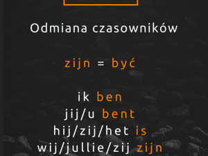 10 niderlandzkich czasowników dla początkujących i średnio-zaawansowanych