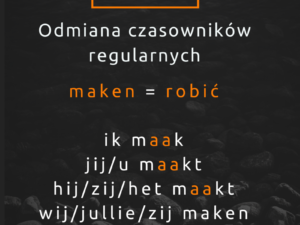 Niderlandzki: odmiana czasowników z długą samogłoską w temacie