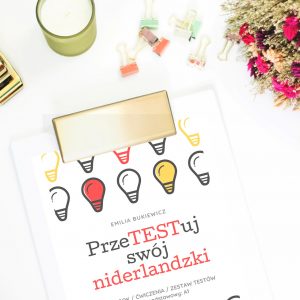 okładka e-book do nauki niderlandzkiego